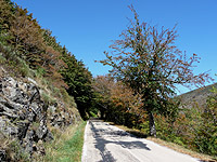 Coustel - Südrampe Blick nach oben