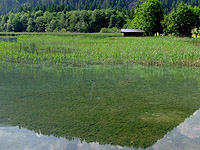 Haldensee - Nahaufnahme