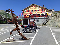 Grimsel - Passhöhe Dino