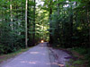 Sarner-See Umfahrung - Süden Wald Biker