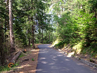Foppa - Westrampe Mitte Wald