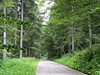 Pura - Nordrampe Mitte Gerade Wald