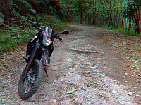 Cocca - Südrampe Mitte Wald + Bike 3D