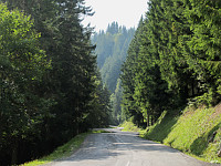 Ramaz - Ostrampe Mitte Wald