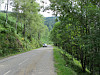 Port - Westrampe Mitte Straße Gerade Wald