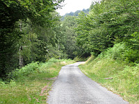 Crouzette - Südrampe Mitte Straße Wald