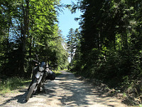 Gravas - Osten Mitte Bike Wald