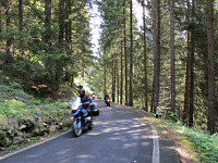 Vivione - Ostrampe unten Wald Bikes