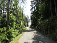 Solude - Ostrampe Mitte Wald