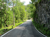 Monte Rest - Nordrampe oben Schluchtwand schmale Piste