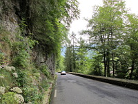 Aubisque - Westrampe unten Wald Bergwand