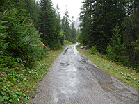 Moutière - Ostrampe MItte Wald