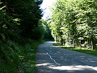 Grand Ballon - Westrampe Wald